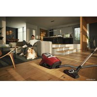 Пылесос Miele Blizzard CX1 Cat & Dog SKCF5 (красный)