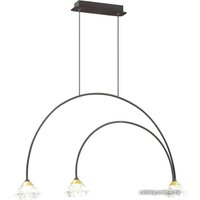 Подвесная люстра Odeon Light Arco 4100/3