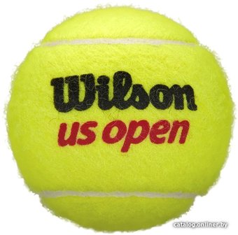 Wilson US Open WRT116200 (4 шт)