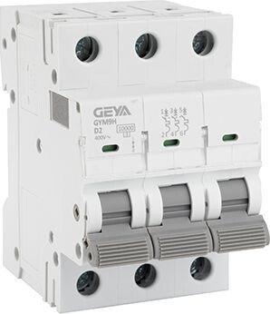

Выключатель автоматический GEYA GYM9H-3P-2D 3P 2A D 10kA 3M GYM9H3P2D