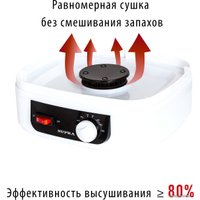 Сушилка для овощей и фруктов Supra DFS-215
