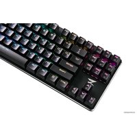 Клавиатура Zet Blade Pro (черный, Kailh Red Box) в Могилеве