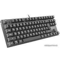 Клавиатура Genesis Thor 300 TKL