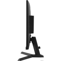 Игровой монитор Iiyama G-Master Red Eagle G2470HSU-B1