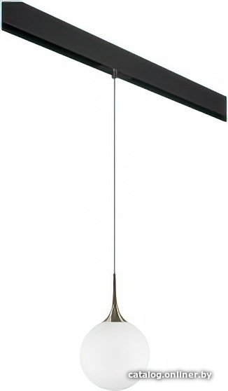 Подвесная люстра Lightstar Globo PRO813031