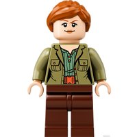 Конструктор LEGO Jurassic World 75940 Побег галлимима и птеранодона