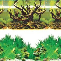 Фон Laguna Таинственный лес/Новое утро 9098/9030 74064086