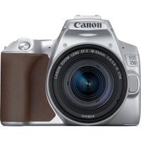 Зеркальный фотоаппарат Canon EOS 250D Kit 18-55 IS STM (серебристый)