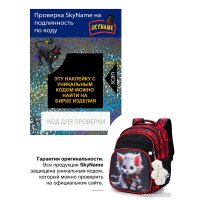 Школьный рюкзак SkyName R3-271 + брелок мишка