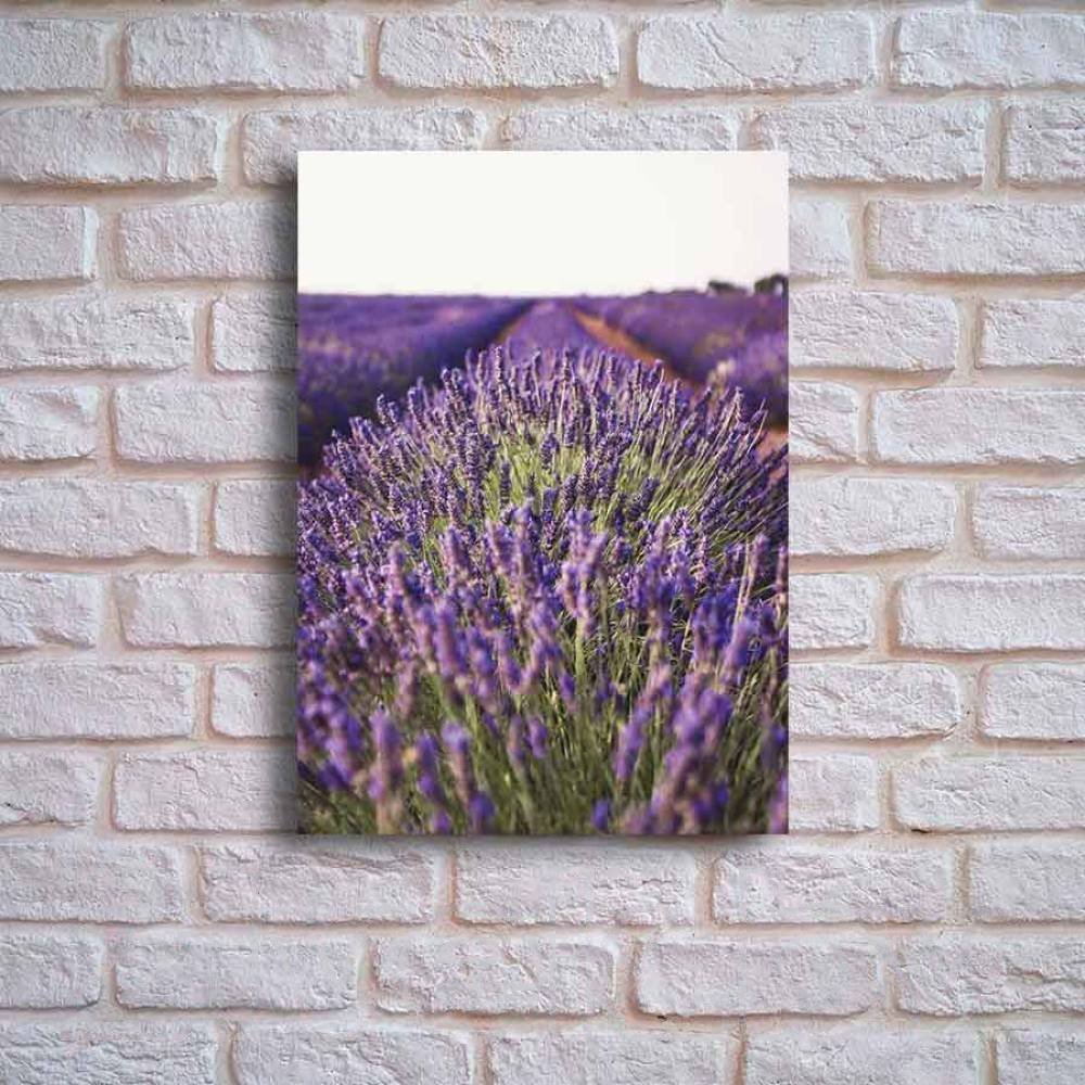 

Картина на стекле Stamprint Лавандовый куст NT012 (70x50)