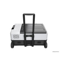 Компрессорный автохолодильник Filymore P38 38л (черный)