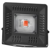 FITO-50W-LED Bluered