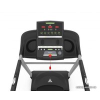 Электрическая беговая дорожка DFC Pride Pro T-X в Гродно