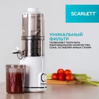 Соковыжималка Scarlett SC-JE50S63 в Бресте