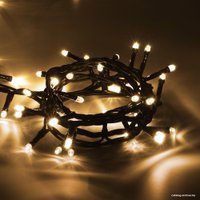 Светодиодная гирлянда Vegas Нить 55062 100 LED (белый теплый)
