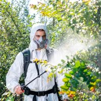 Аккумуляторный опрыскиватель Greenworks G24BPSIIK2 5300307UA (с АКБ)