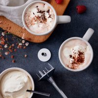 Погружной блендер Bamix Cordless PRO (белый)