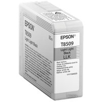 Картридж Epson C13T850900