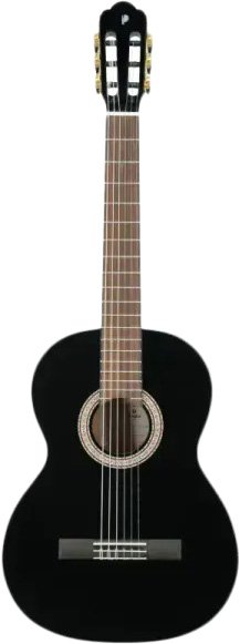 

Акустическая гитара Prodipe Primera 3/4 BK
