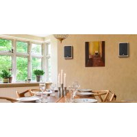  DALI Oberon On Wall Light Oak