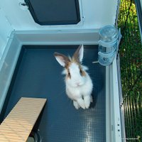 Клетка Ferplast Grand Lodge Plus 120 57087800