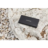 Внешний аккумулятор Canyon PB-108 10000mAh (черный)
