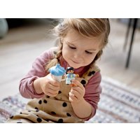 Конструктор LEGO Duplo 10956 Парк развлечений