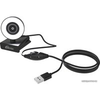 Веб-камера Ritmix RVC-250