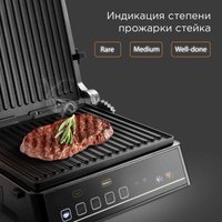 Электрогриль Redmond (Редмонд) SteakMaster GM305
