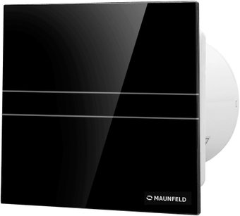 MAUNFELD MFE10GB