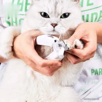 Когтерезка Petkit LED Light Nail Clipper