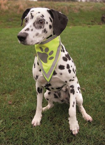 Бандана для собак Trixie Светоотражающая XS-S 30123 (желтый)