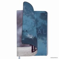 Ежедневник BRAUBERG недатированный Spirit 112117 (серый)