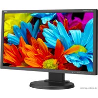 Монитор NEC MultiSync E224Wi Black/Black