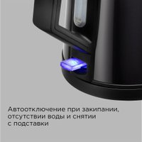 Электрический чайник Redmond (Редмонд) KM244 (черный)