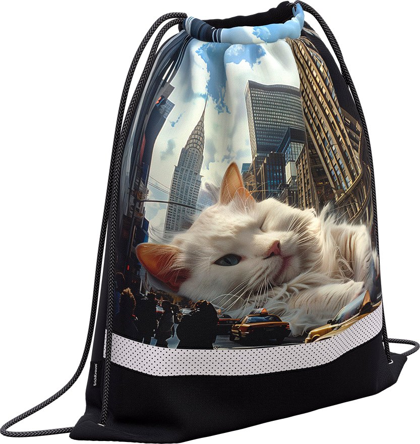 

Мешок для обуви Erich Krause Big City Cats 63583