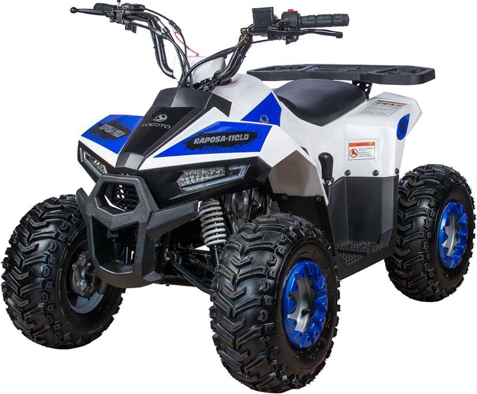 

Квадроцикл Yacota Raposa 110 куб.см. (белый)