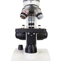 Микроскоп Levenhuk Discovery Femto Polar с книгой 77986