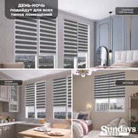 Шторы день-ночь Sundays Home ДН LB 111-10 57х160 с 2-мя направляющими LM-15 150см (графитовый)
