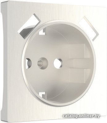 Накладка для розетки Werkel W1179513 a051189 (перламутровый рифленый)