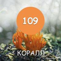 Краска Maxima 2.5 кг (№109 коралл)