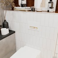 Инсталляция для унитаза Lavinia Boho Relfix 5 в 1 77020064 (белый/золотой глянец пластик)