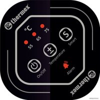 Накопительный электрический водонагреватель Thermex IF 100 (smart)