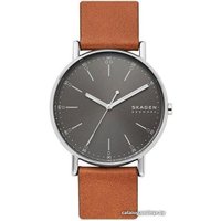 Наручные часы Skagen SKW6578 в Бресте