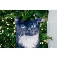 Игрушка-подушка Мальвина Чмоня кот мини