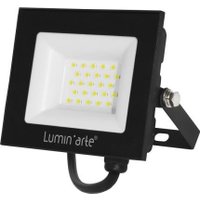 Уличный прожектор Luminarte LFL-30W/06