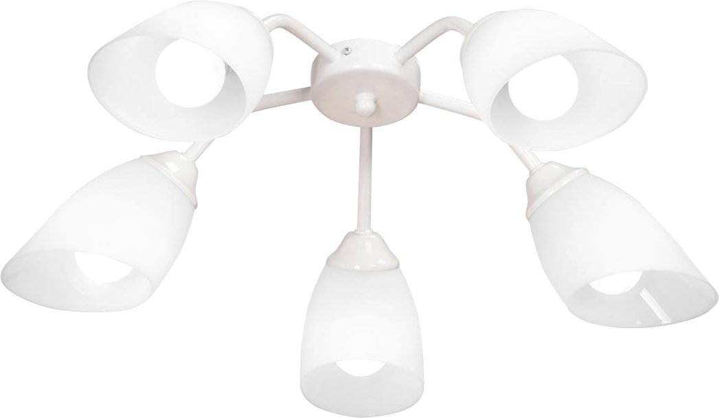 

Люстра средней высоты Vitaluce V3195/5PL