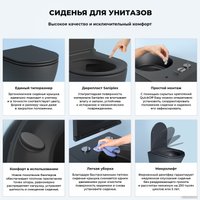 Унитаз подвесной Wellsee Chalice Perfection RimFree 182609001 (чаша, пневмокрышка, матовый черный)