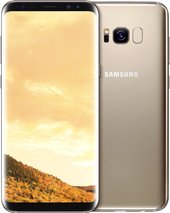 Galaxy S8+ Dual SIM 64GB (желтый топаз) [G955FD]