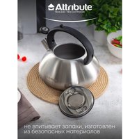 Чайник со свистком Attribute Duet ASD004